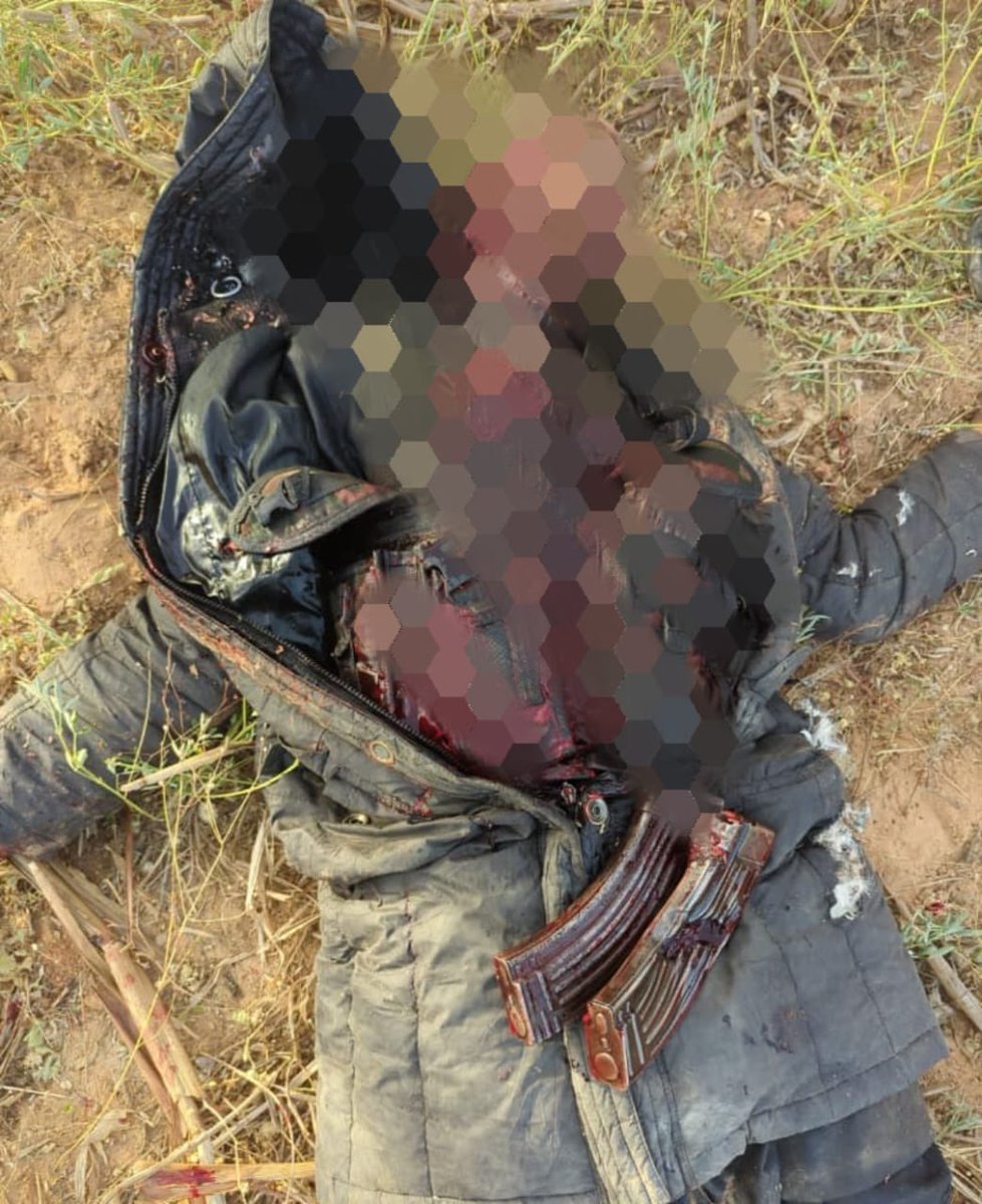 Toju weston tweet media