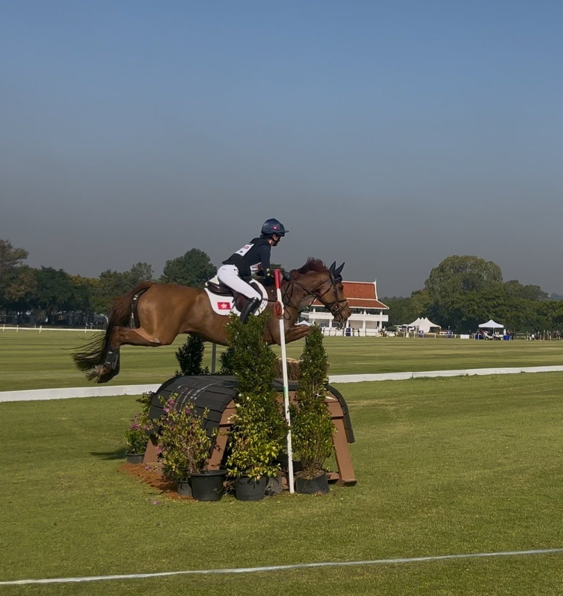 Joss Gray Eventing tweet media