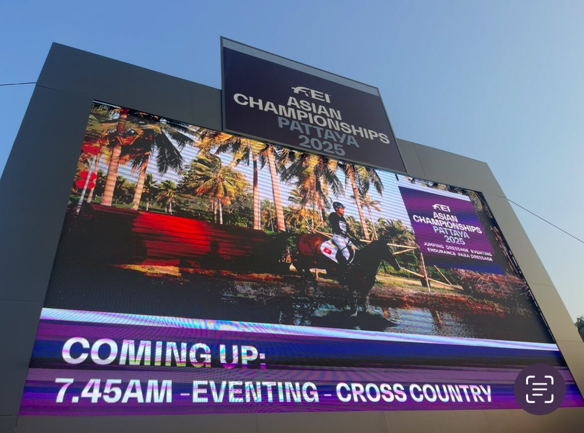 Joss Gray Eventing tweet media