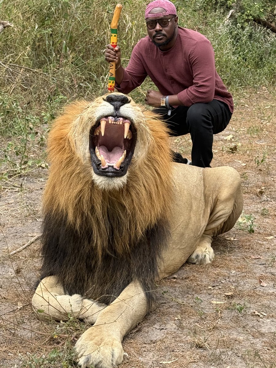 mr_sholape's tweet image. Do it afraid…..#bucketlisttick