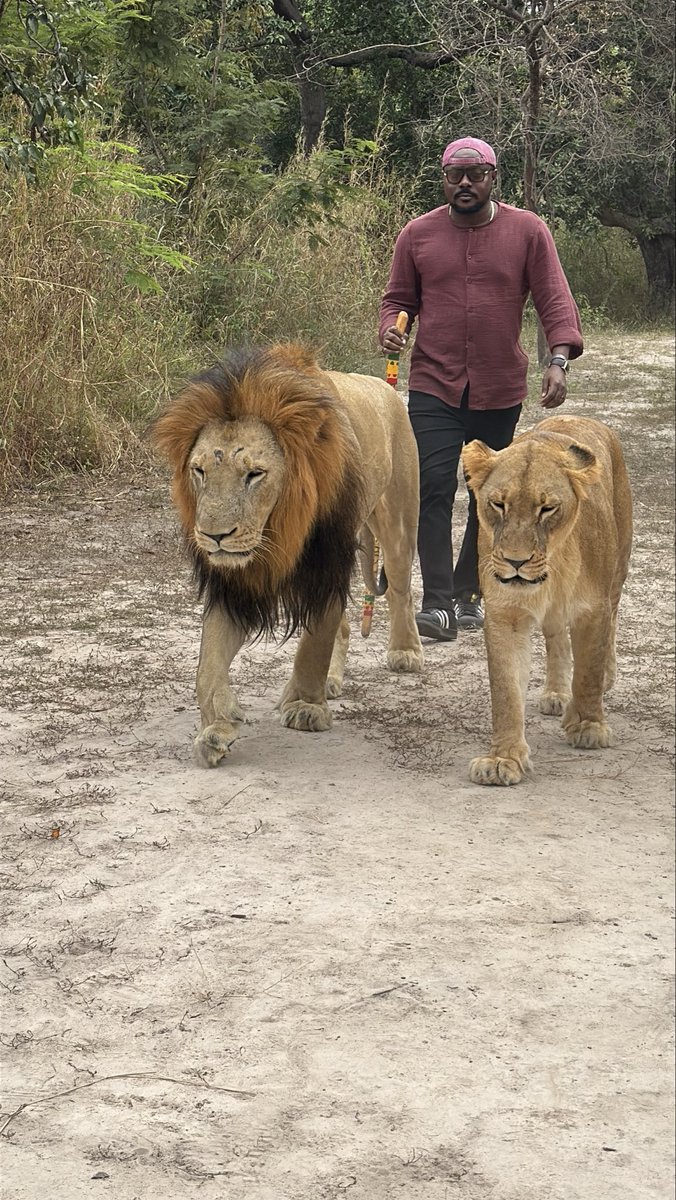 mr_sholape's tweet image. Do it afraid…..#bucketlisttick