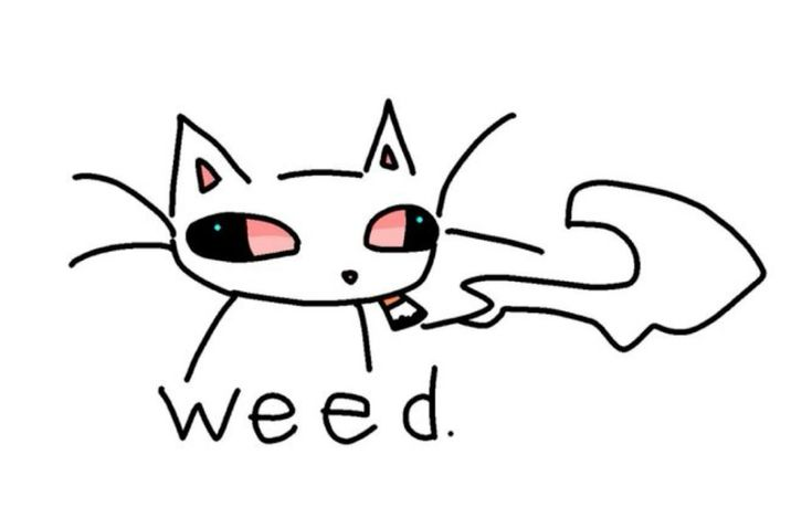 ⁯ ― THE SHOOTING STAR. tweet media