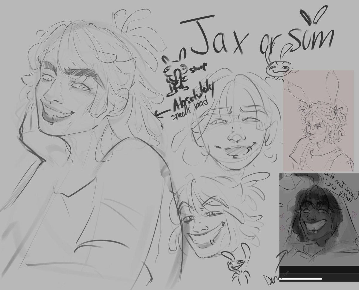 PookiePaw tweet media