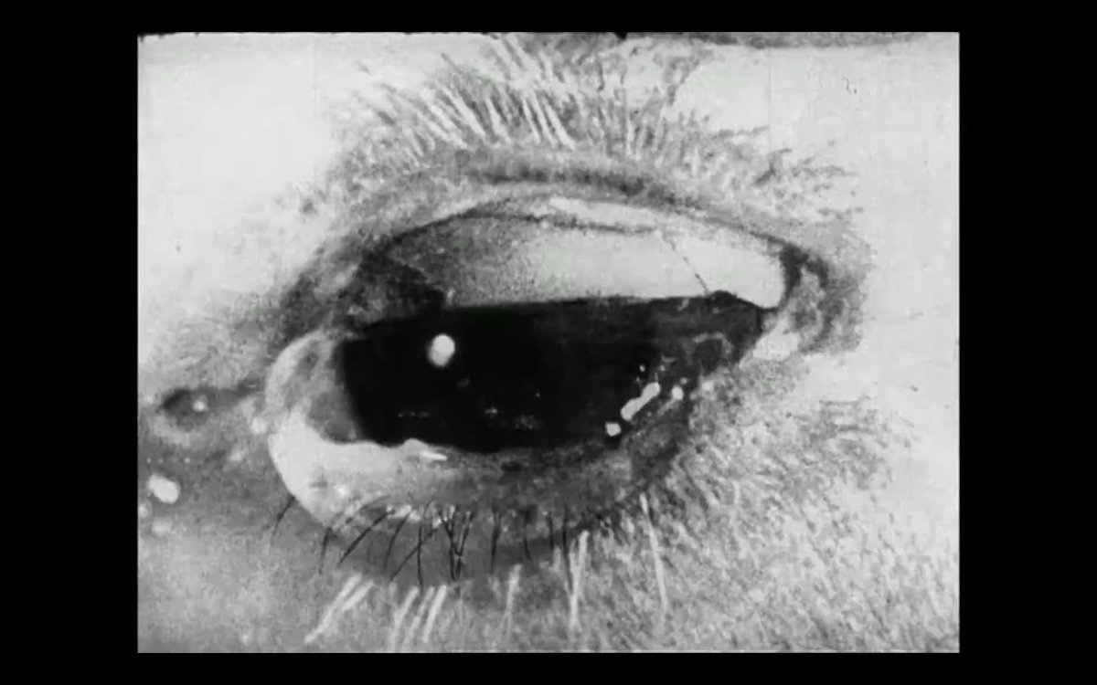 Quando l'occhio trema (Paolo Gioli, 1988)
drive.google.com/drive/folders/…