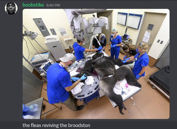 flea (@fleaow) on Twitter photo 