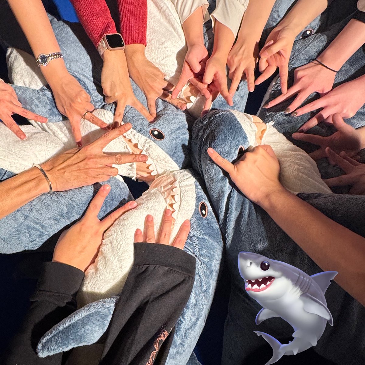 たくみです🦈 (@happy_takumikun) / Highlights / X