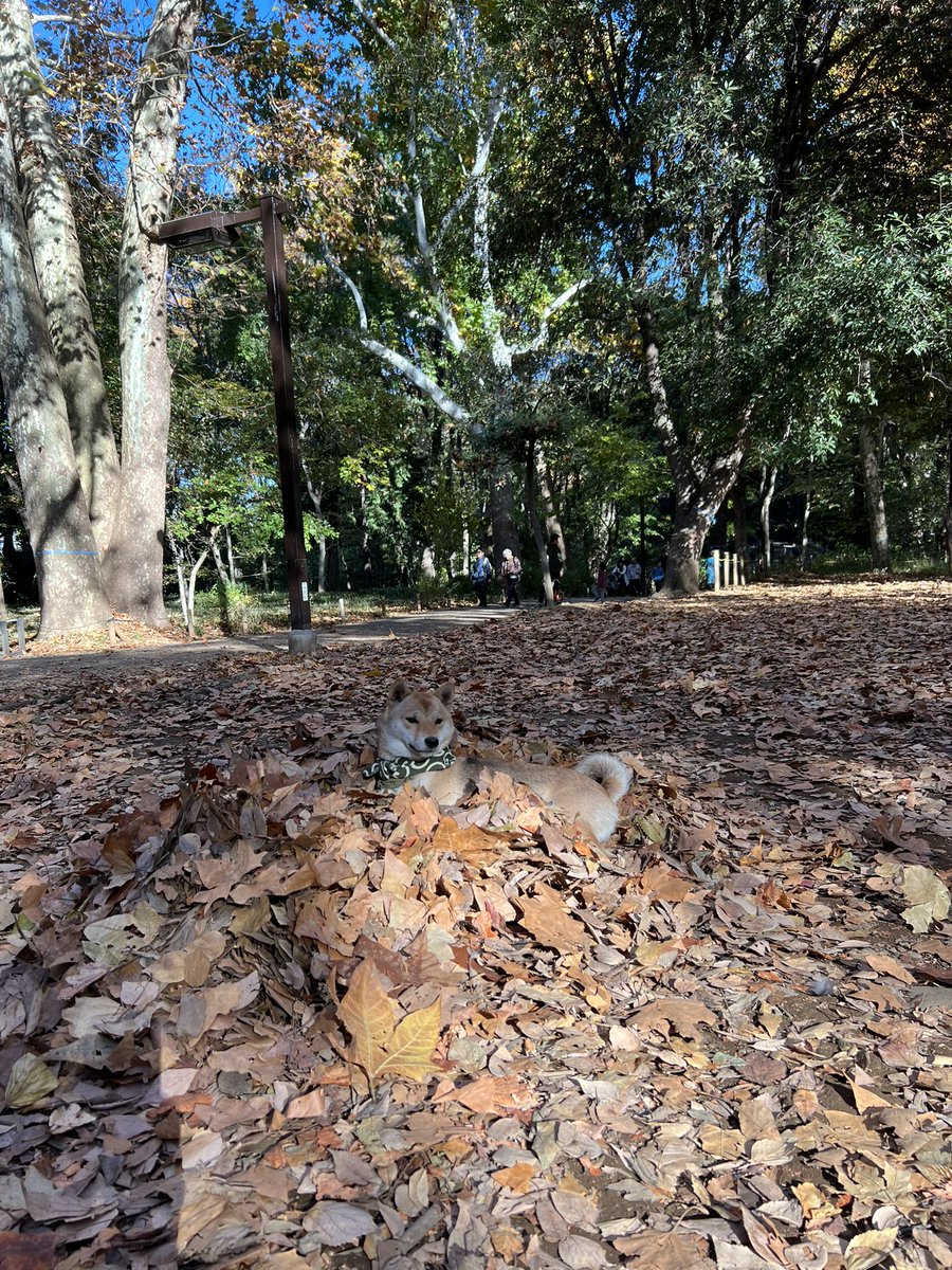 Heeellooo everyone!!😆🔥
Hope you’re all doing great!
I’m sorry for being inactive on all social media, it’s a bit difficult how to live with phone these days.

I recently had an eye surgery called ICL and I see the world more clearly now😆🌏 I’m so ready for the next chapter of