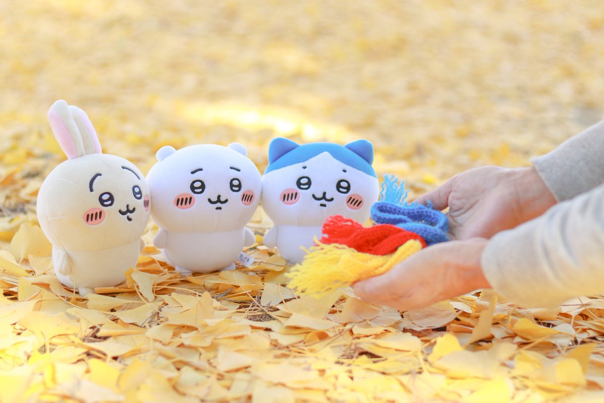 ちい🫧 (@otsukimikaba) / Posts / X