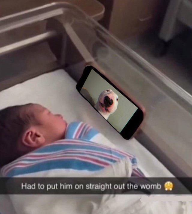 gotta put em on early