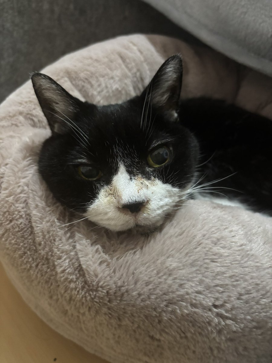 け (@St62SVNExILF2p9) / Posts / X