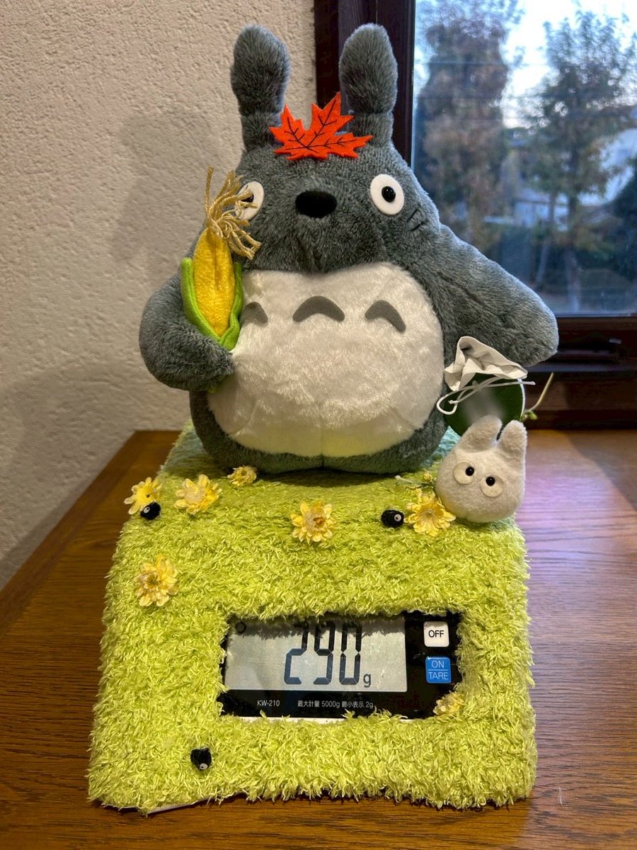 11ham27's tweet photo. 昨日ちょっと遠出のドライブをして
トトロを作りに行ってきました🍁

私が行きたい！って言ってたから連れてってくれたんだけど
彼もぬいぐるみ作り楽しかったって言ってくれて嬉しかった✨

彼が綿を食べさせすぎて大トトロはむちむちのパンパンに🤣
トトロならぬ「巨トロ」になりました笑 https://t.co/9Bs9KdCQ3L