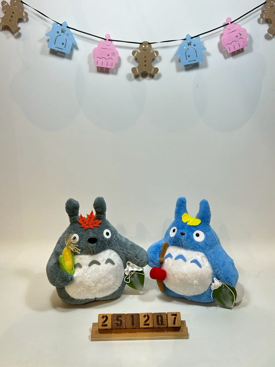 11ham27's tweet photo. 昨日ちょっと遠出のドライブをして
トトロを作りに行ってきました🍁

私が行きたい！って言ってたから連れてってくれたんだけど
彼もぬいぐるみ作り楽しかったって言ってくれて嬉しかった✨

彼が綿を食べさせすぎて大トトロはむちむちのパンパンに🤣
トトロならぬ「巨トロ」になりました笑 https://t.co/9Bs9KdCQ3L