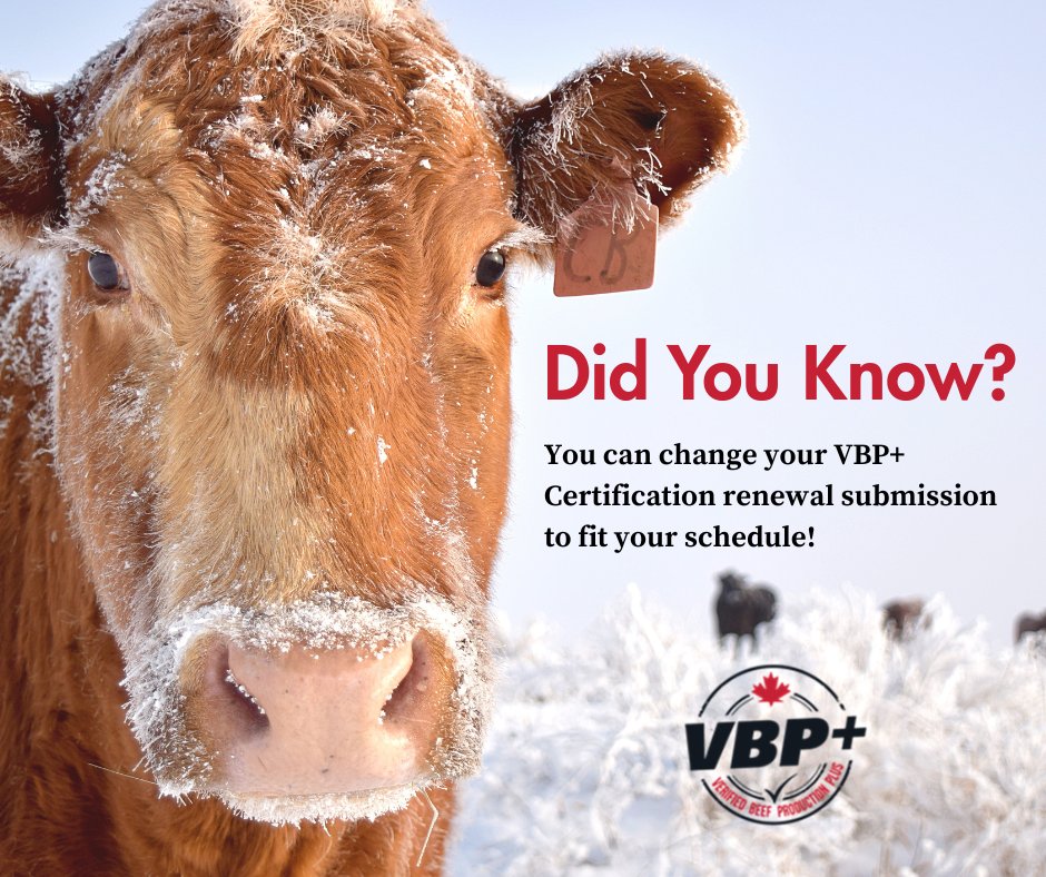 If your VBP+ Certification renewal is due in a busy season, we will work with you to find a more convenient time of year for submission. Please reach out to our Renewals Department at renewals@verifiedbeef.ca or 587-328-5980 to discuss adjusting your submission date.