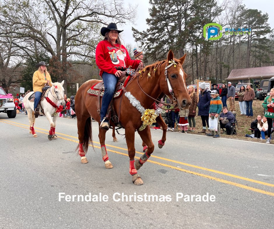 PulaskiAR's tweet image. Brace yourself, Pulaski County—winter’s knocking! ❄️ Temps stuck in the 40s, clouds hanging on, and perfect vibes to hop on that holiday horse and ride into the festive spirit! 🎄🐴✨
#PulaskiCountyWeather #ChillyDays #HolidayVibes #WinterIsComing #FestiveFeels