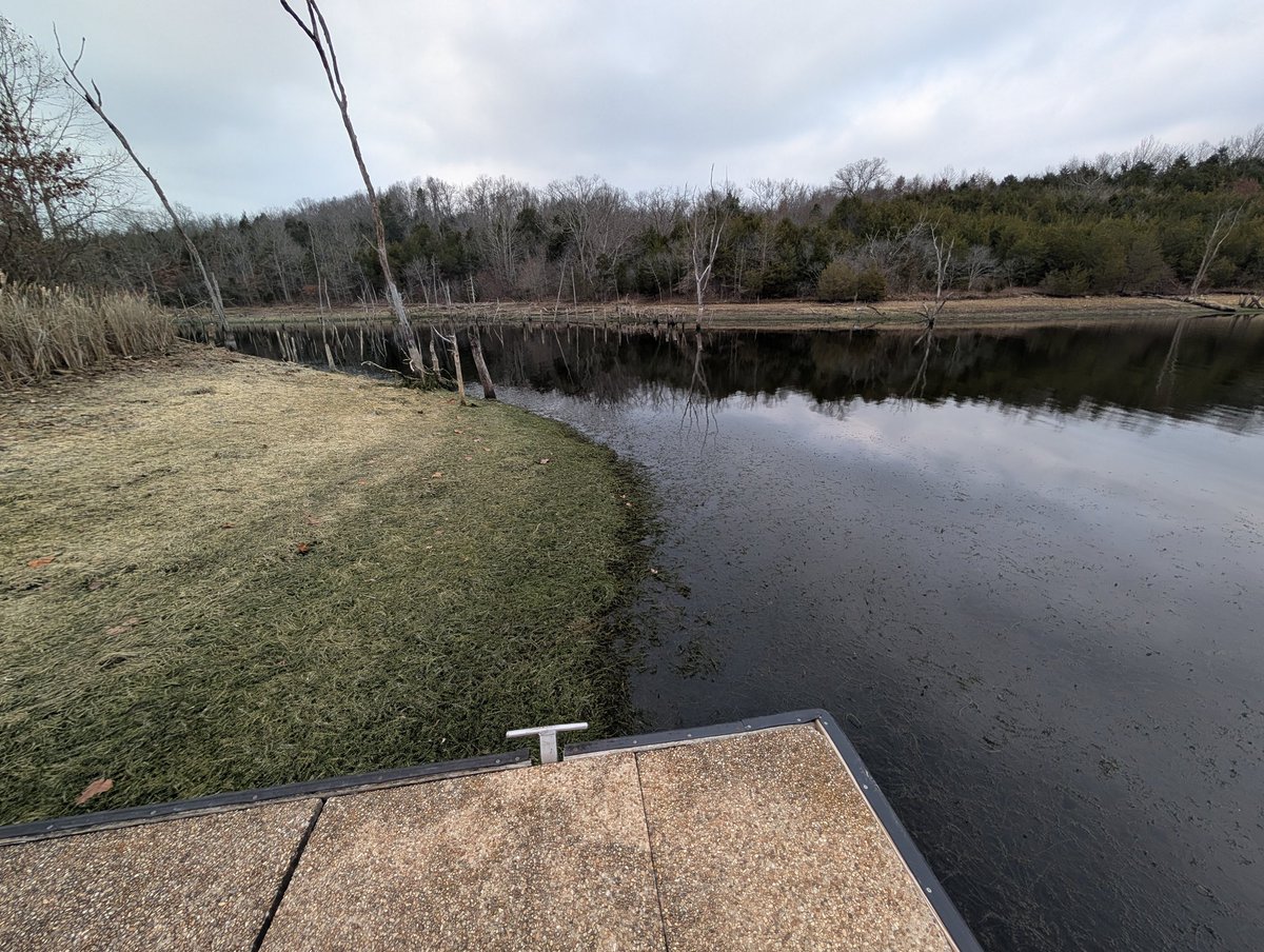 Cedar Creek Lake drawdown update. The lake is down around 5.5 feet and getting good bank exposure. While not popular with most people, cold temperatures will help with the vegetation control, so we are hoping Mother Nature cooperates.
