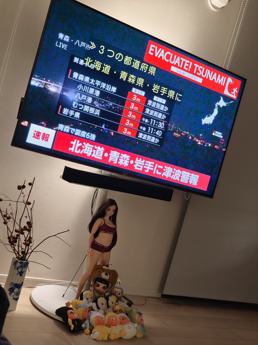 Smartdoll Land tweet media