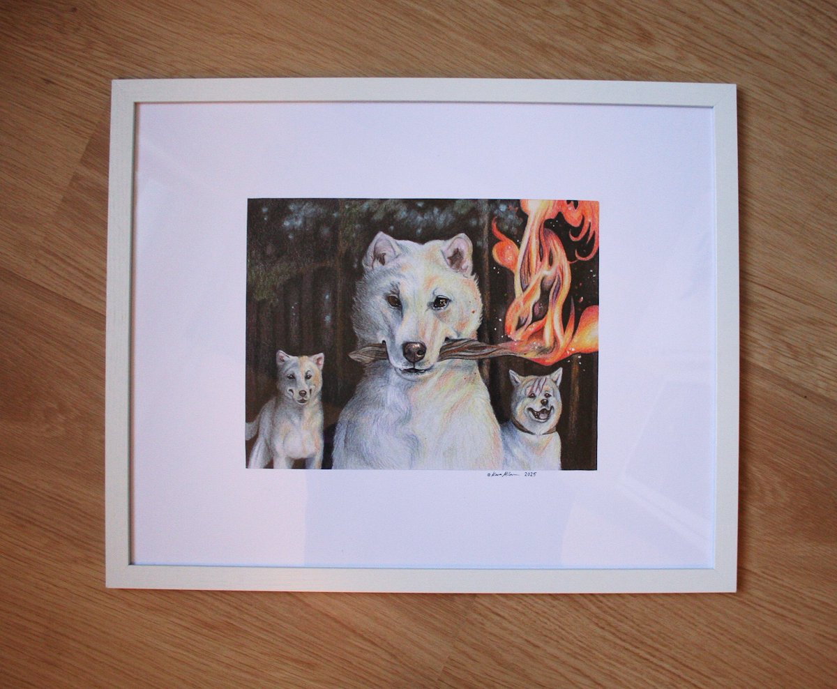 Another realistic Ginga colored pencil drawing! 
It's from the scene where Akame burns the Iga House. ❤️