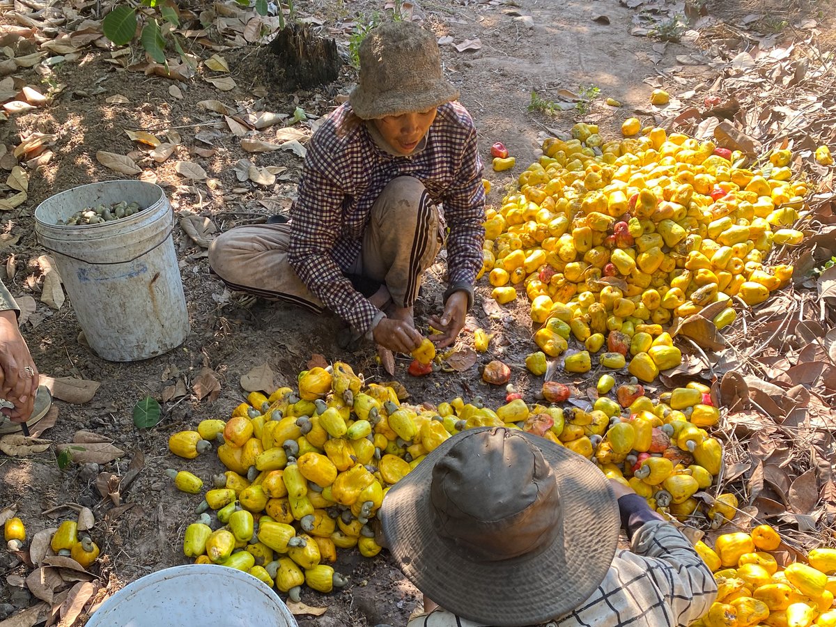 Friends of EbA (FEBA) tweet media