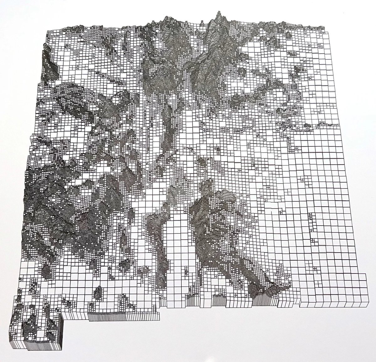 Tim Wallace tweet media