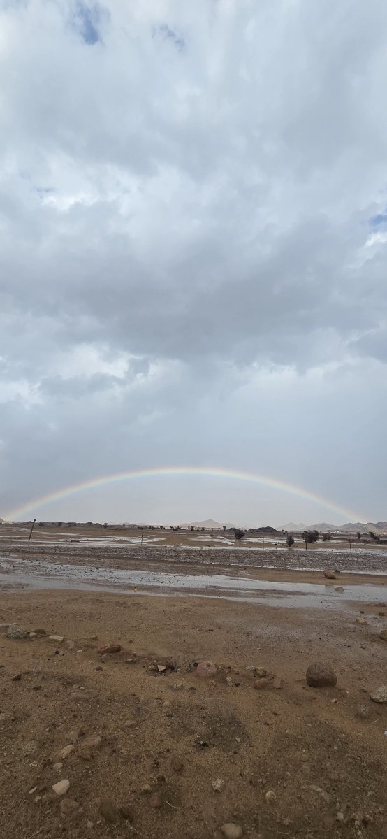 سليمان الجهني tweet media