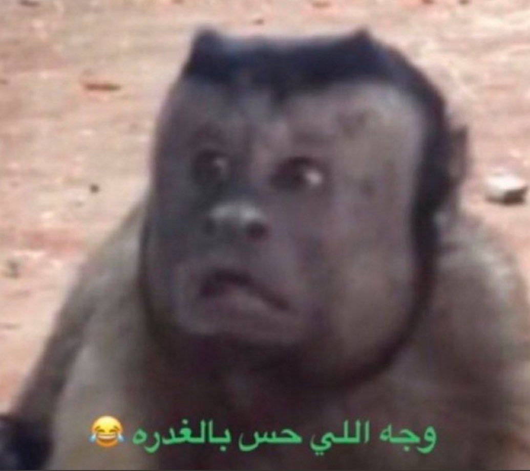 اختبارنا بكرة تكفون لايتأجل🙏🏻🙏🏻🙏🏻🙏🏻🙏🏻
