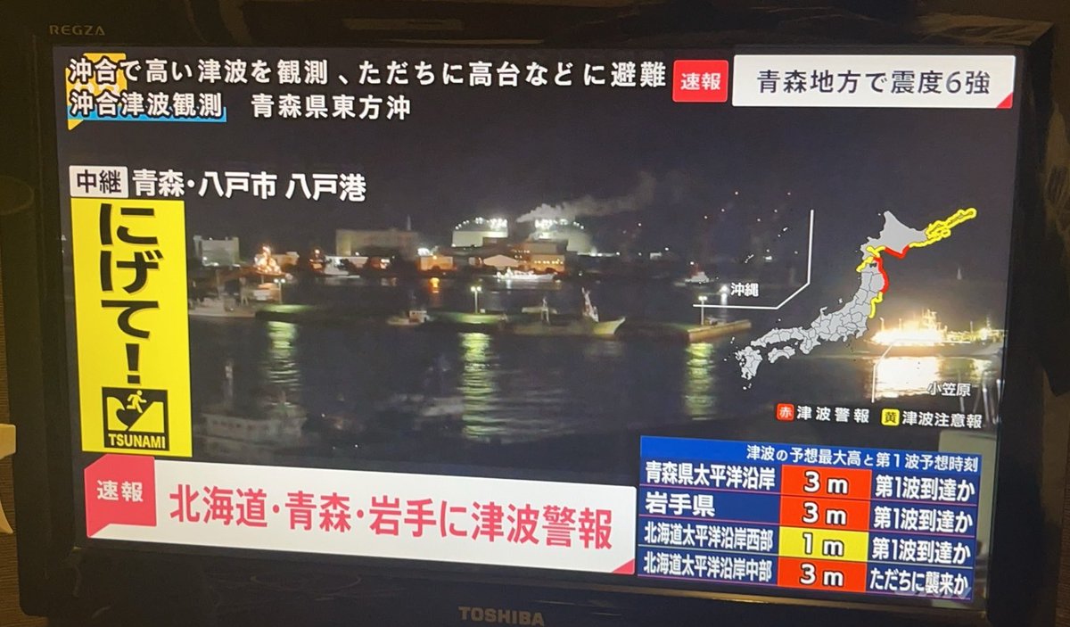 ルイス・マンテ (Luis Mante) tweet media