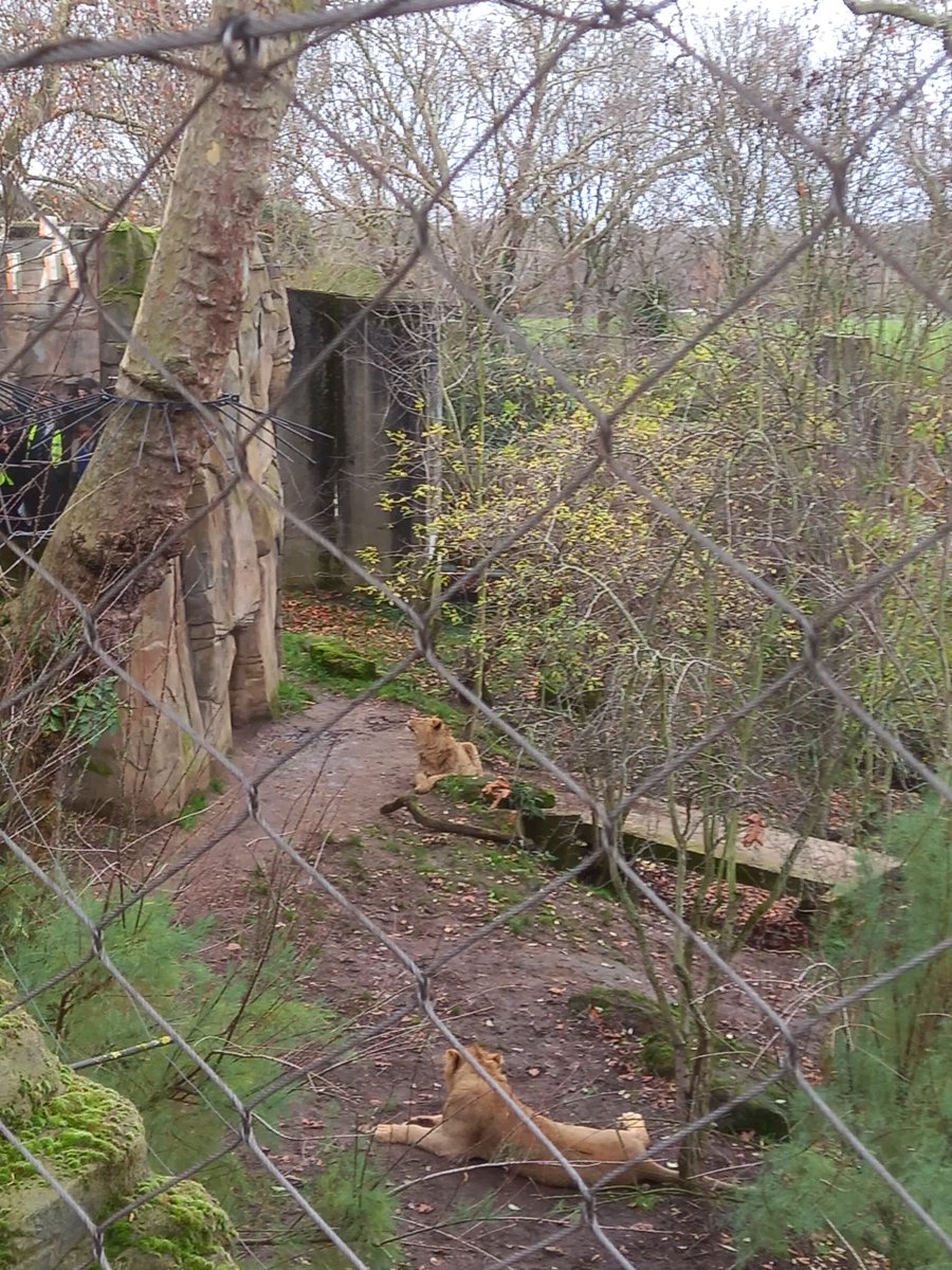 Roxbourne Primary tweet media