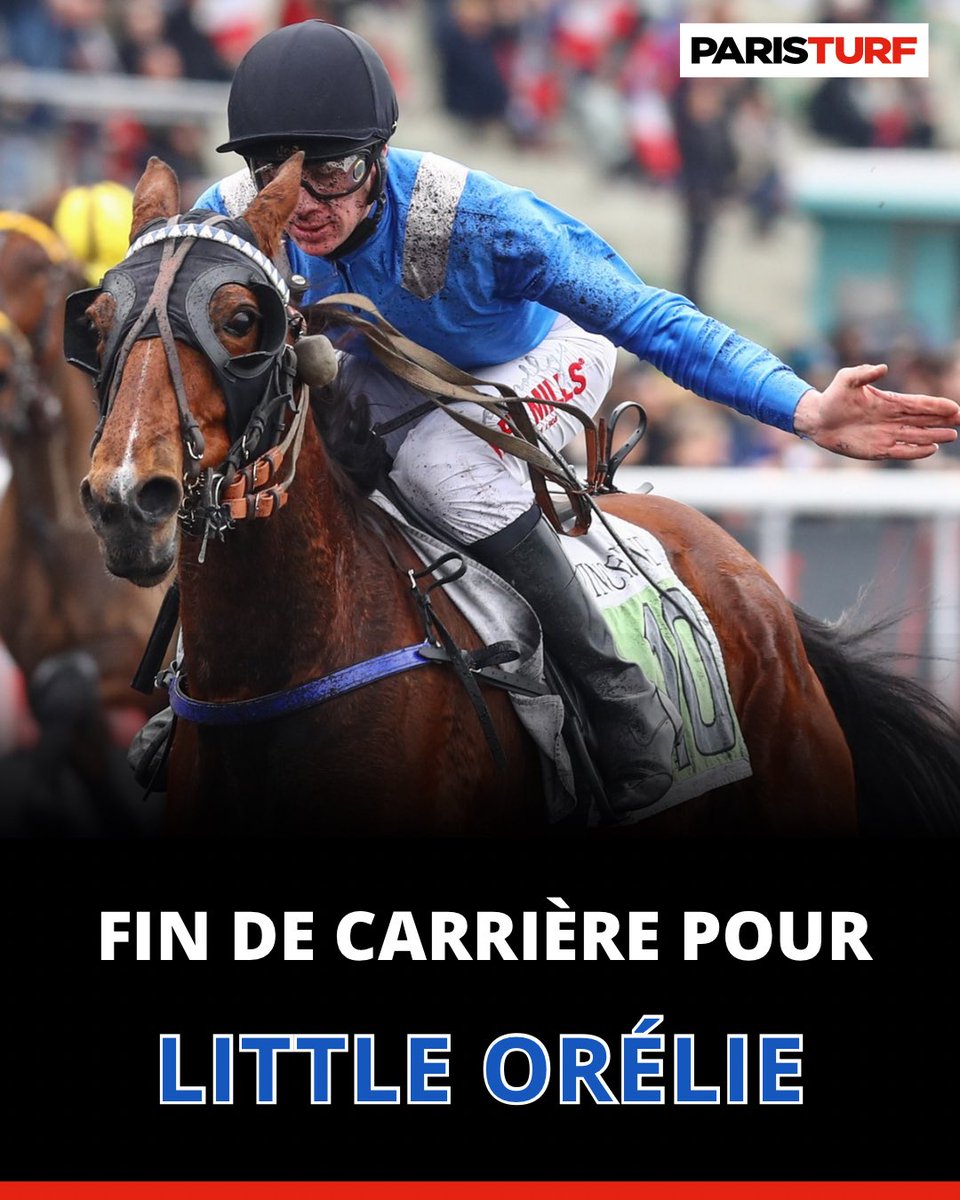 ParisTurf tweet media