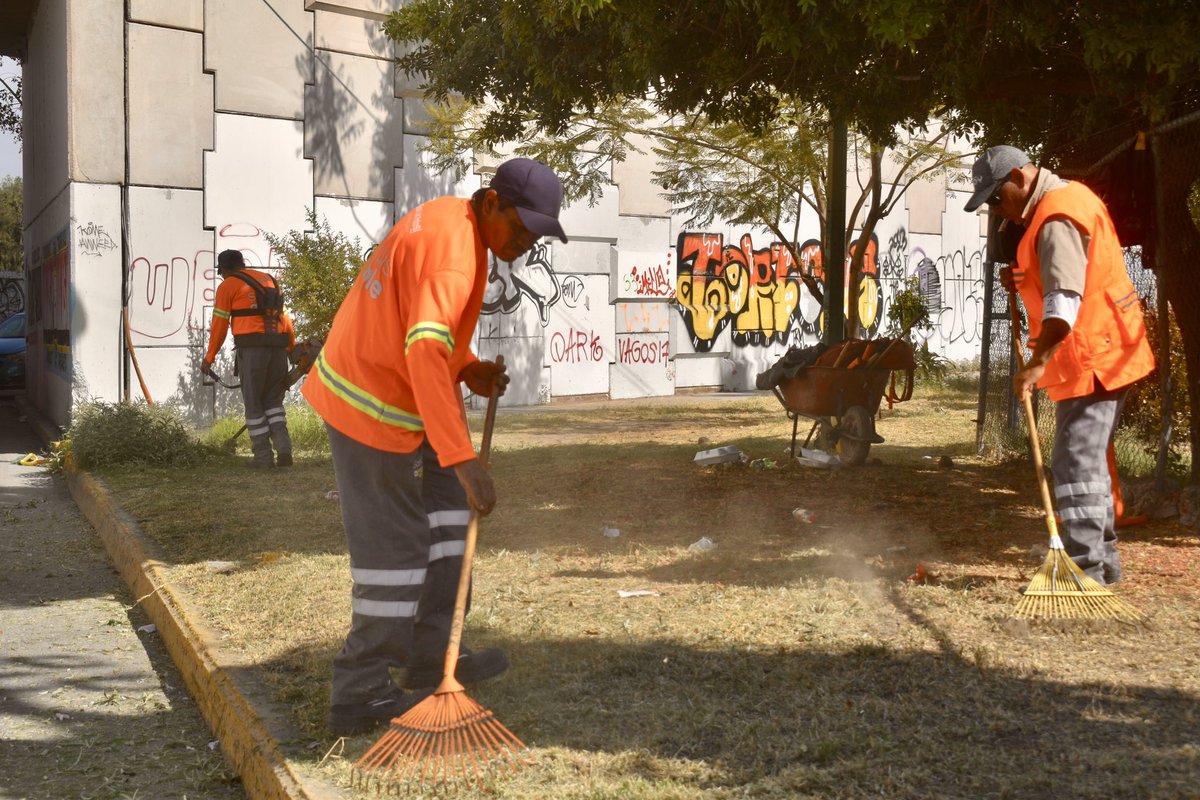 Parques y Jardines continúa trabajando en el mantenimiento del puente Valladares, realizando su limpieza general para mantener este espacio en óptimas condiciones. 🌿🧹 

¡Seguimos trabajando día a día por un #SanLuisAmable! 🤝