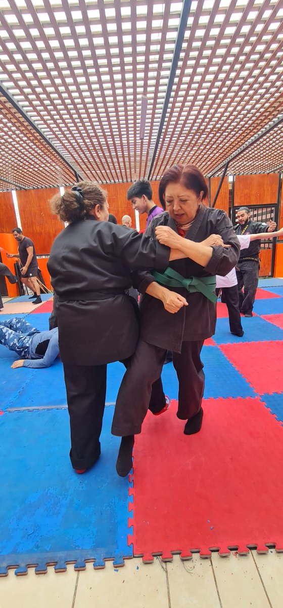 moficache's tweet photo. Iquique fue la sede de Taikai 2025, un seminario de artes marciales Bujinkan Unryukai Budo Taijutsu

https://t.co/MxKlrxmkEA https://t.co/FR7iSifcK4