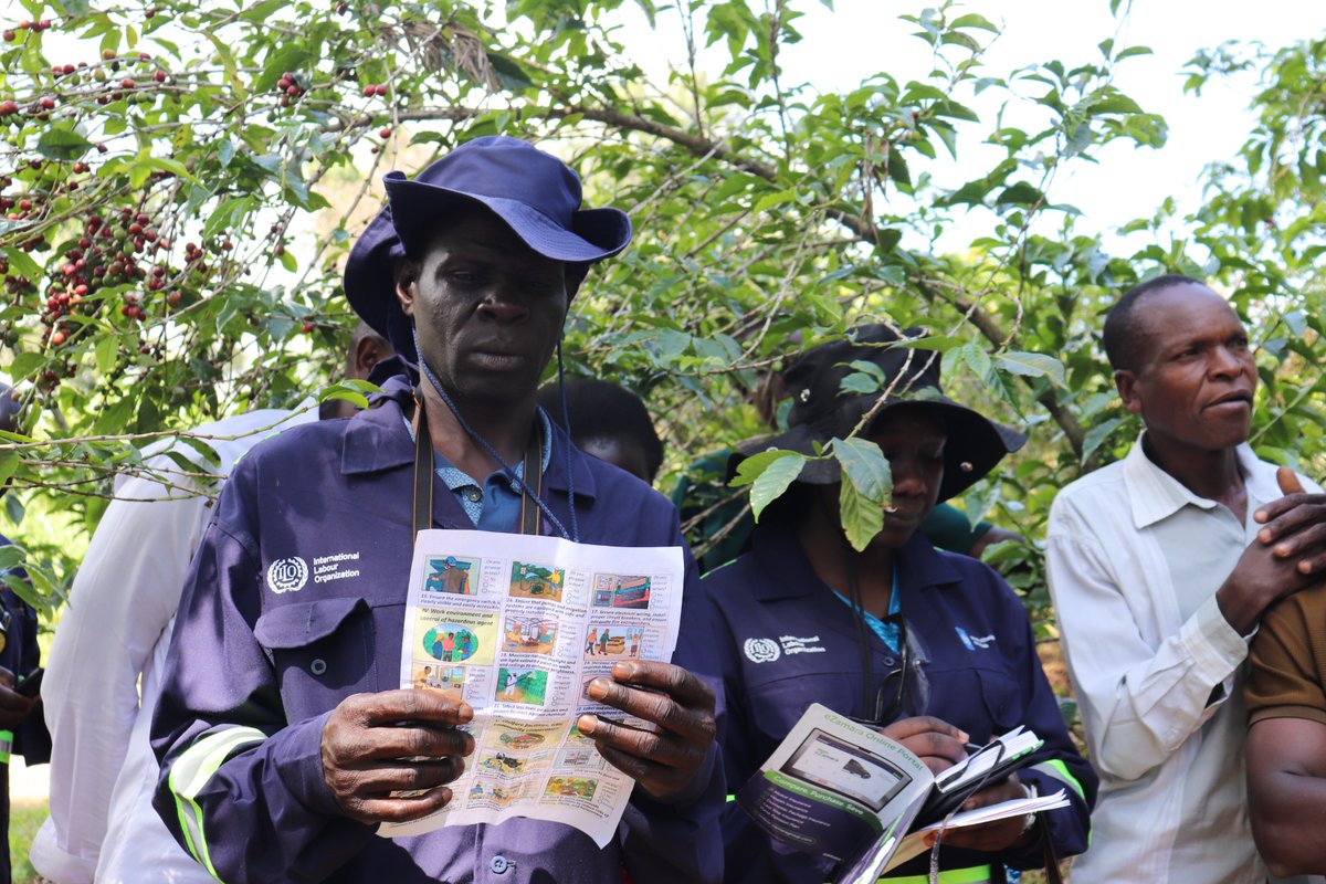 AfricaAccel's tweet image. Behind every cup of Kenyan coffee is a community!

ACCEL Africa is investing in local capacity so farmers can work safely, reduce daily risks, and improve their livelihoods across the coffee supply chain.

Learn more: ilo.org/resource/artic…