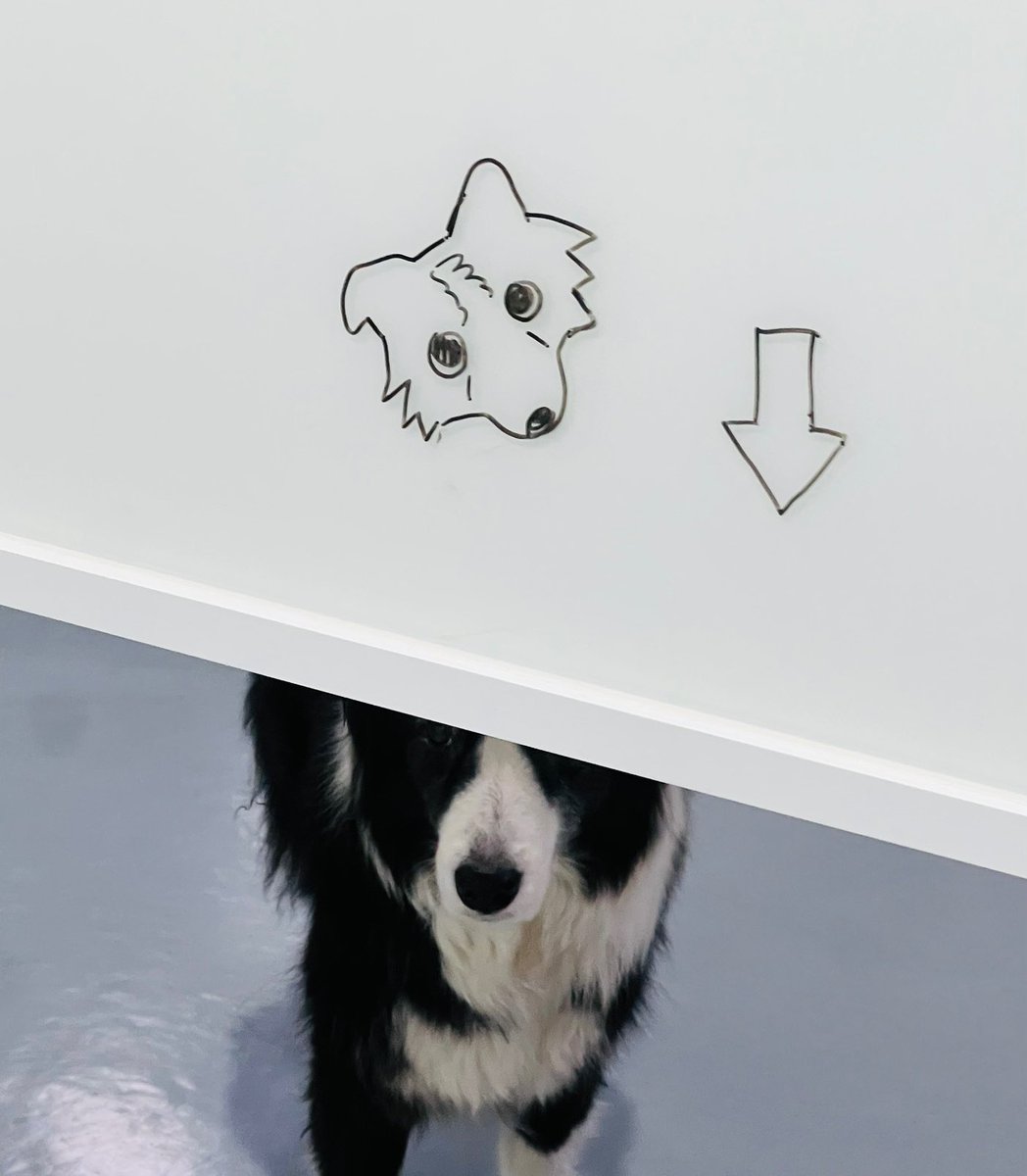 nineo (@nineoin5024) on Twitter photo 