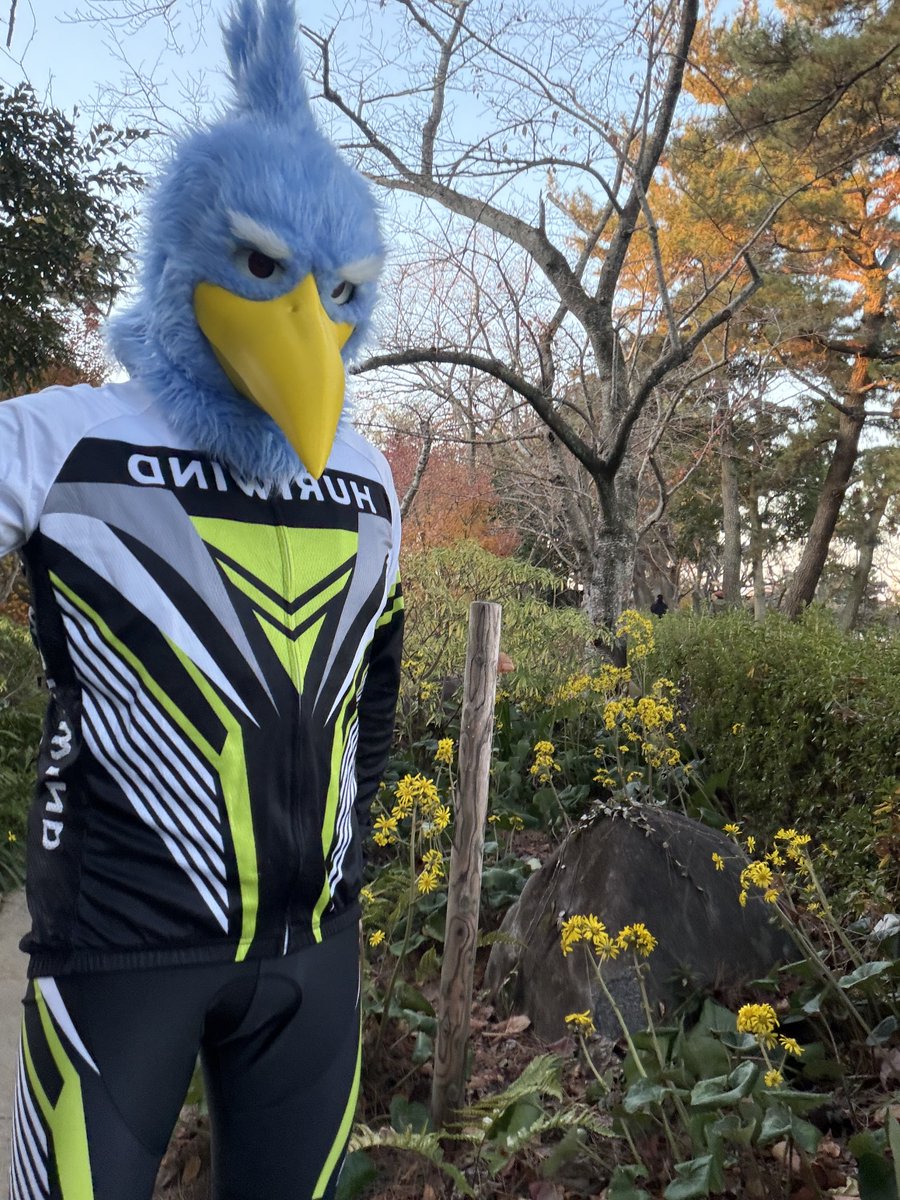 こうじ。 (@ModokiKouji) on X