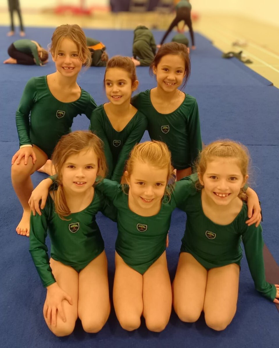 After weeks of practice, our ISA Gymnastics squad got to shine!

They performed brilliantly, and our U9 team received a special award for “best attitude with smiles on faces”! 🤸‍♀️

Well done girls, we’re so proud!

#OaklandsSchool #ISASchoolSports #Loughton #OakTreeSchools