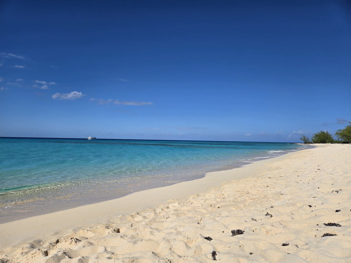 Current situation,  a little sun and an ocean changes everything