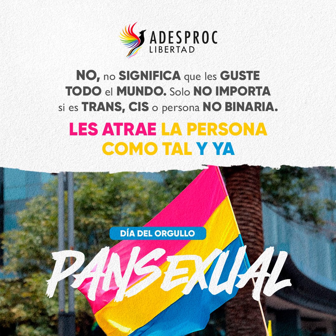 ADESPROC's tweet image. Día del Orgullo Pansexual 🩷💛💙

Celebremos la pansexualidad y derribemos mitos. Respetar y visibilizar es avanzar hacia la igualdad.

#OrgulloPansexual #Pansexualidad #VisibilidadPansexual #8DeDiciembre #ADESPROCLIBERTAD