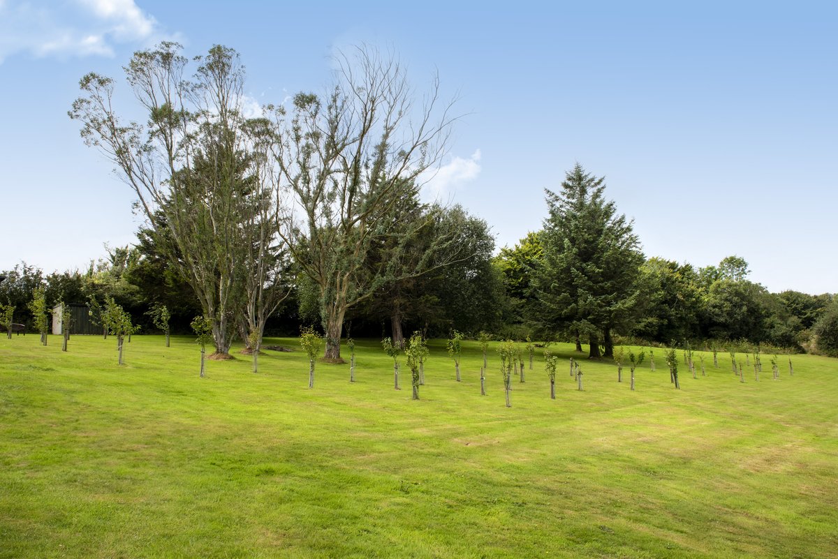 Happy World Pear Day!
We’re celebrating with pears from our own orchard – staying rooted while keeping global trade moving!
Fun fact: Pears, the “gifts of the Gods”, have been enjoyed for over 3,000 years! 🌍