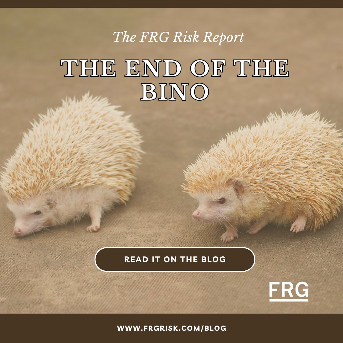 FRG | Financial Risk Group tweet media