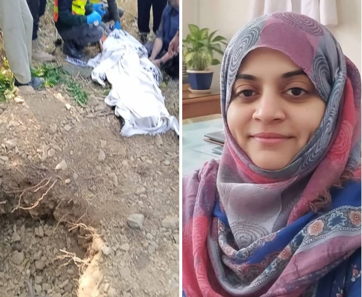 insafian promotion tweet media