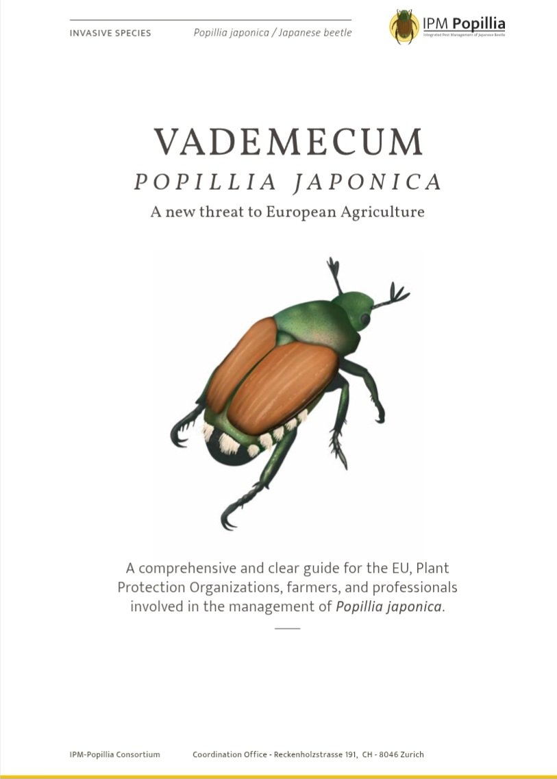 Francesco Paoli tweet media