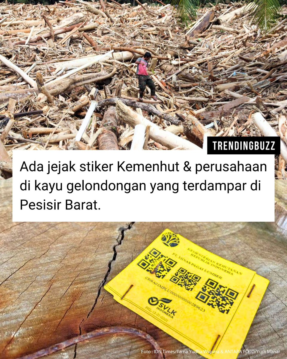 Rohta Anjulian 🇮🇩 🇵🇸 🌞 tweet media