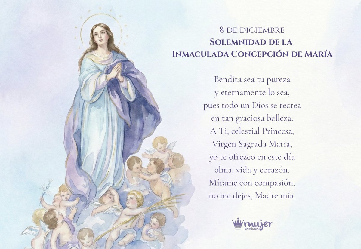 Mujer Católica ن tweet media