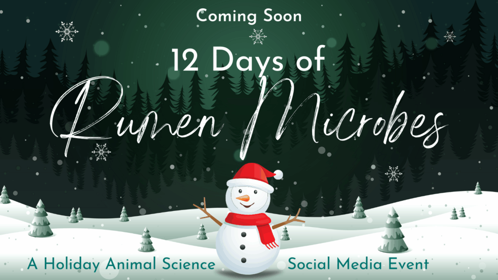 Rumen Phil tweet media