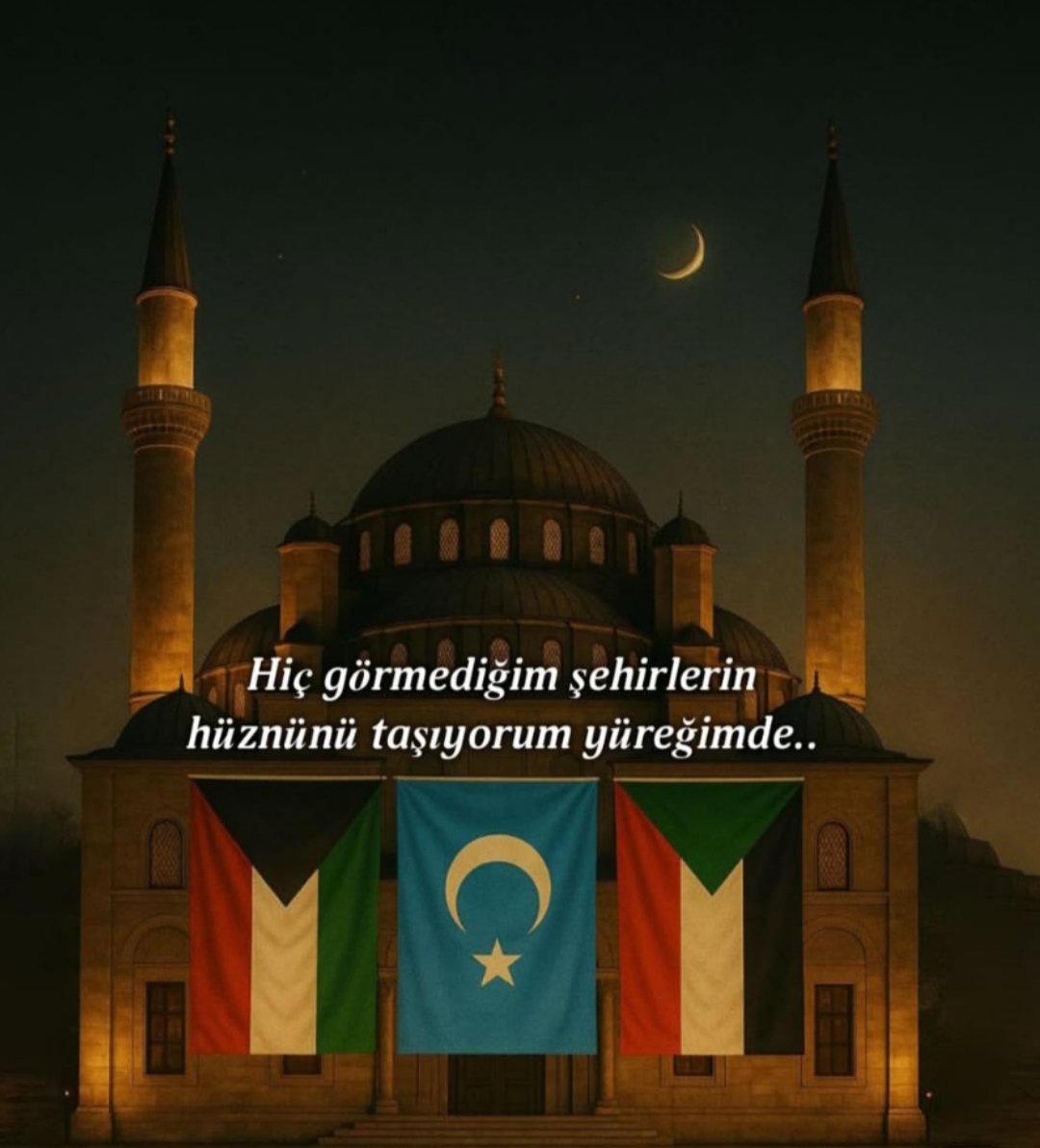 FREE_PALESTiNEF's tweet photo. #BoykotDedektifiEngellenemez https://t.co/iJ2CiIMfZd