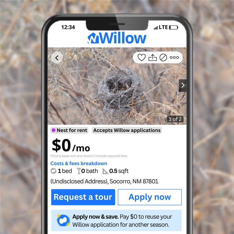 DYK: Don't tear down empty bird nests in fall; they can still provide shelter for other birds in winter!🪹
 
They can also contain parasites/disease risky for humans

Landlords: wait until late summer/early fall to clean out birdhouses
Renters🐦: spaces available for winter!