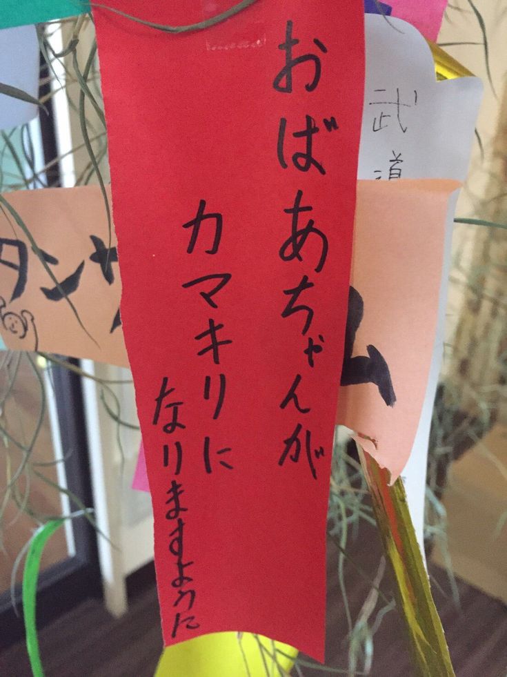 願い事はかなったかな？

※いいね自粛中…