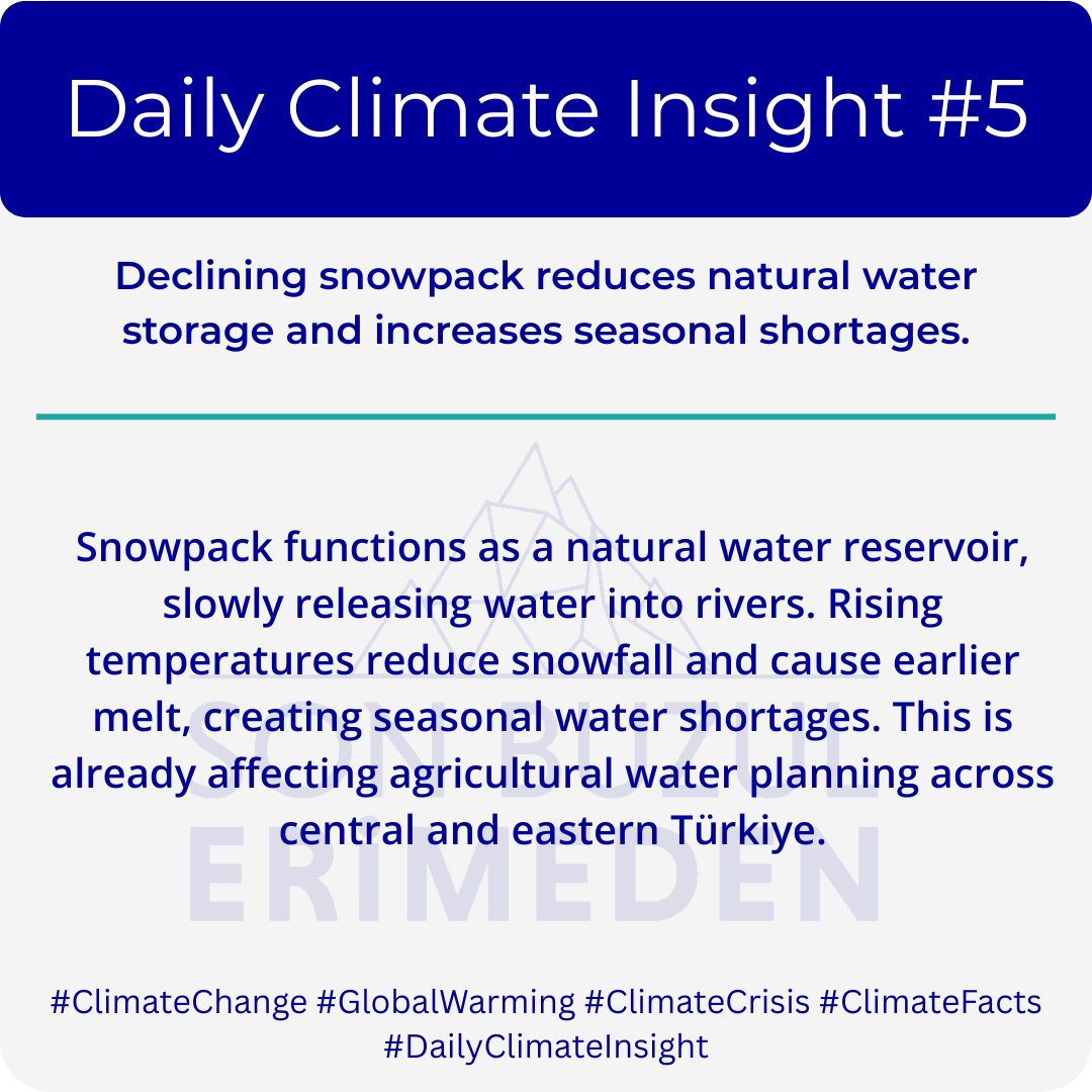 Levent Kurnaz tweet media