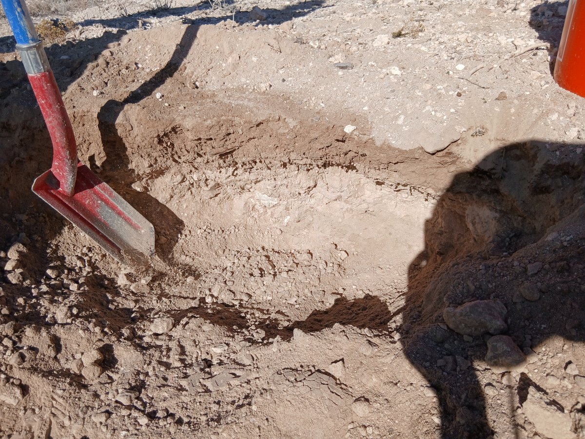 Sunrise Resources PLC tweet media