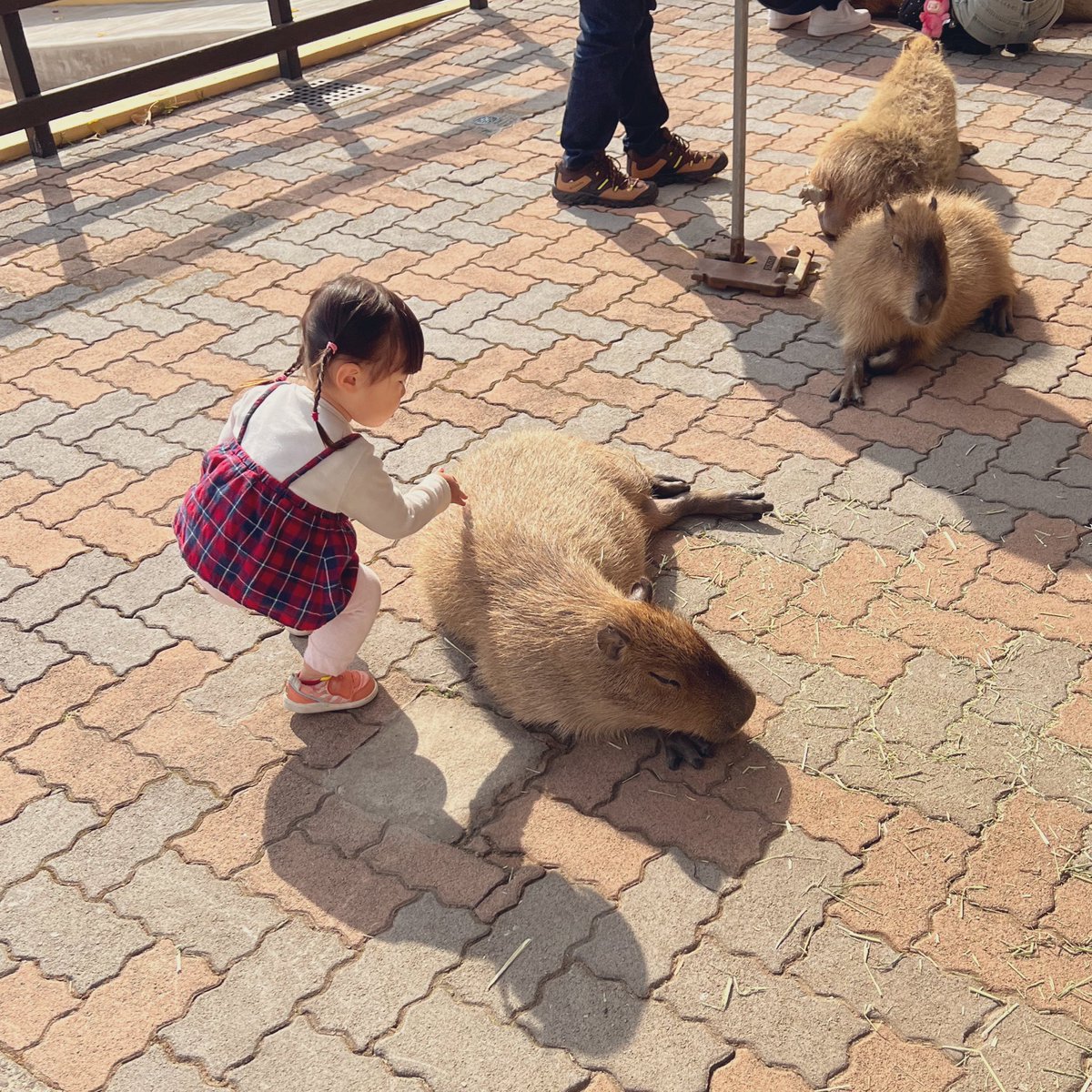 タカ (@macross4744) / Posts / X