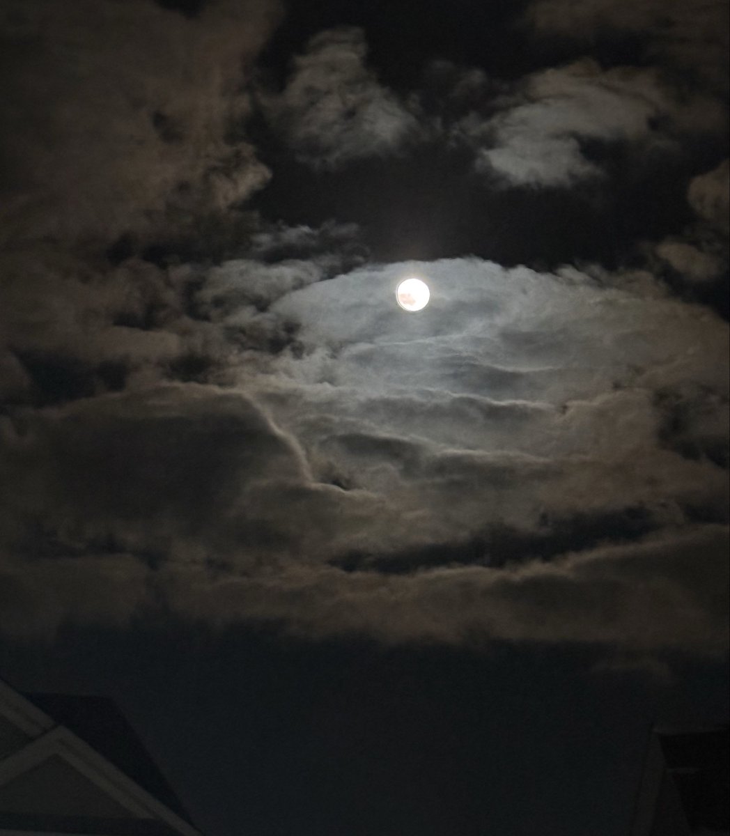 BluethePitbull tweet media